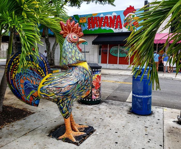A statue of a rooster in front of a building that says iguana