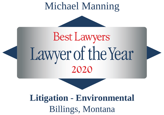 Michael Manning Best lawyer of 2020 badge