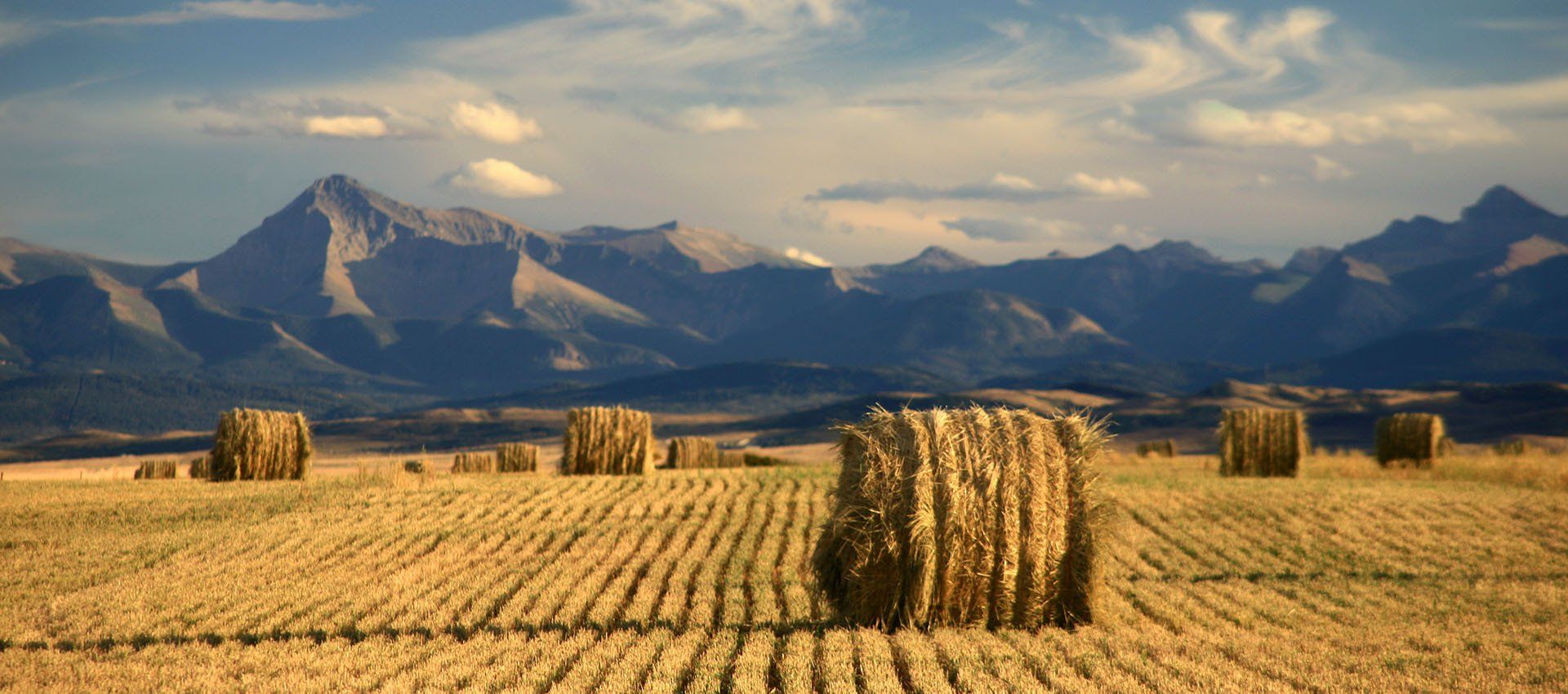 Farmland in the foreground of mountains