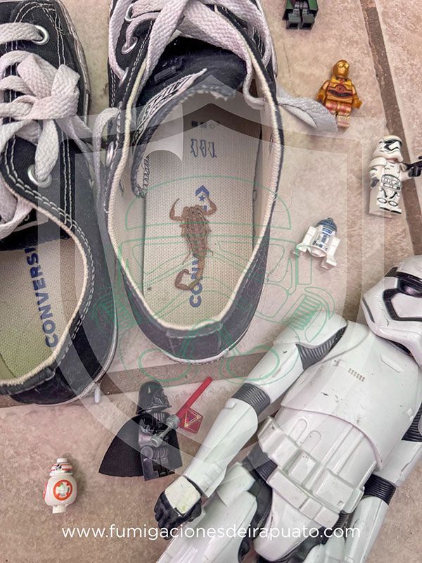 FUMIGACIONES DE IRAPUATO