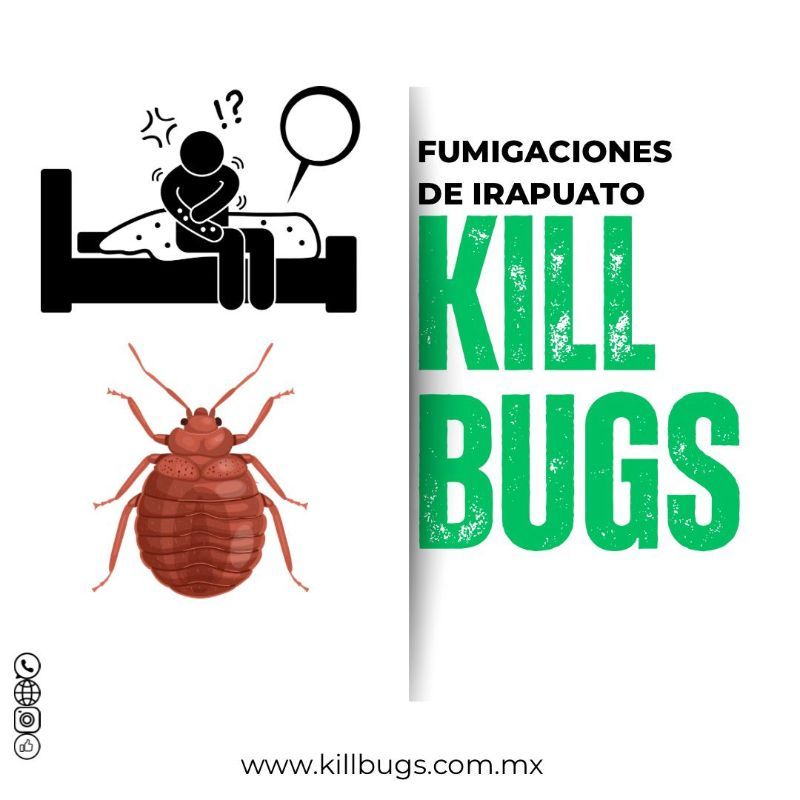FUMIGACIONES DE IRAPUATO