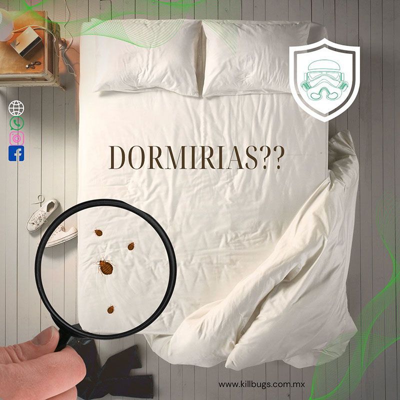 FUMIGACIONES DE IRAPUATO