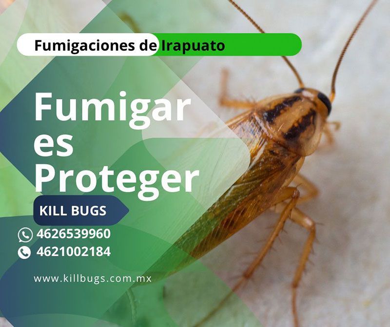 FUMIGACIONES DE IRAPUATO