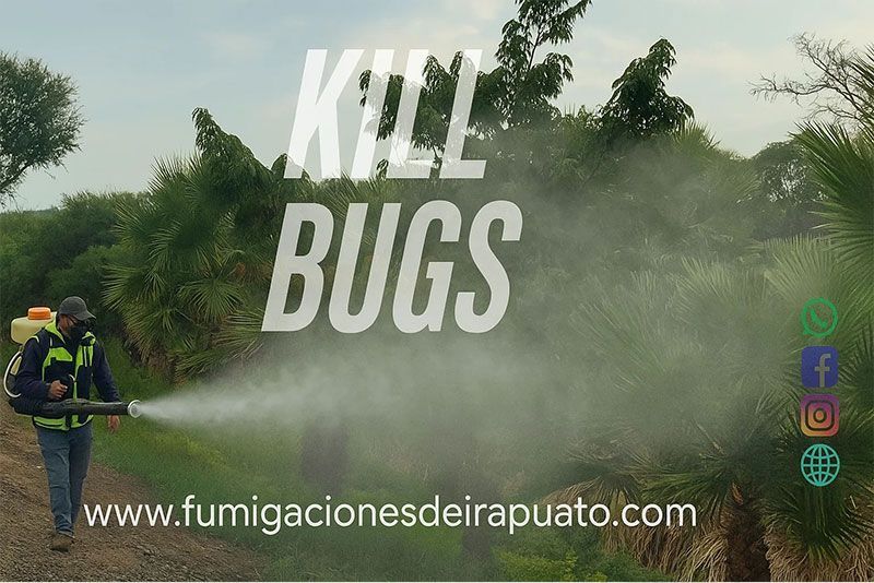 FUMIGACIONES DE IRAPUATO
