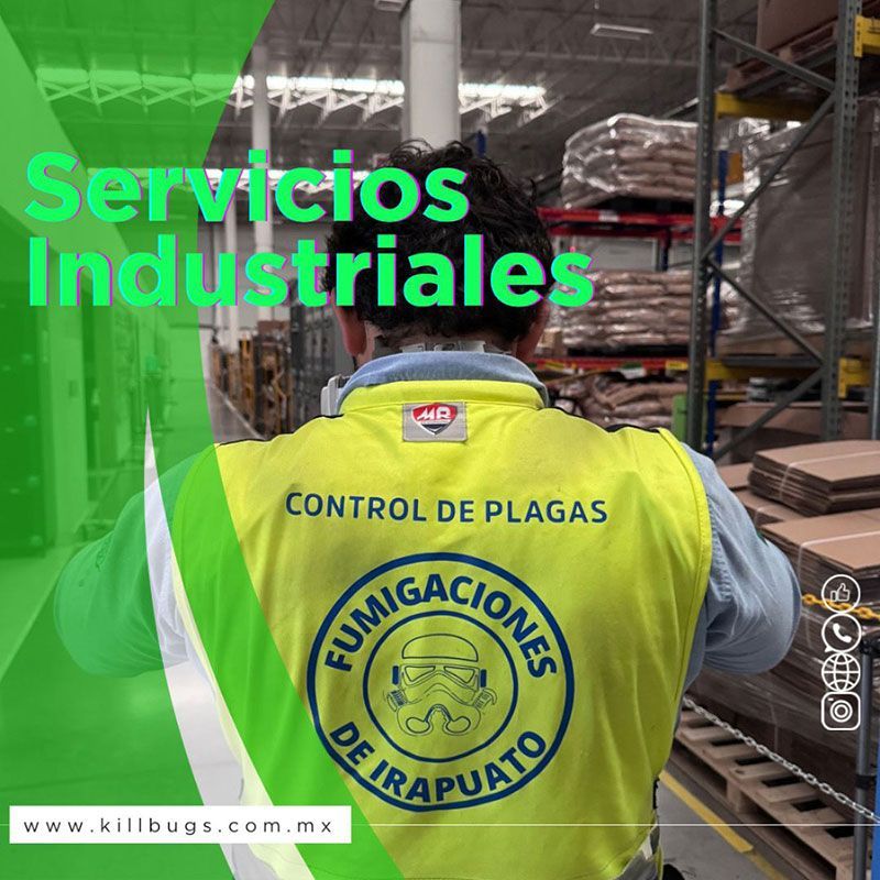 FUMIGACIONES DE IRAPUATO