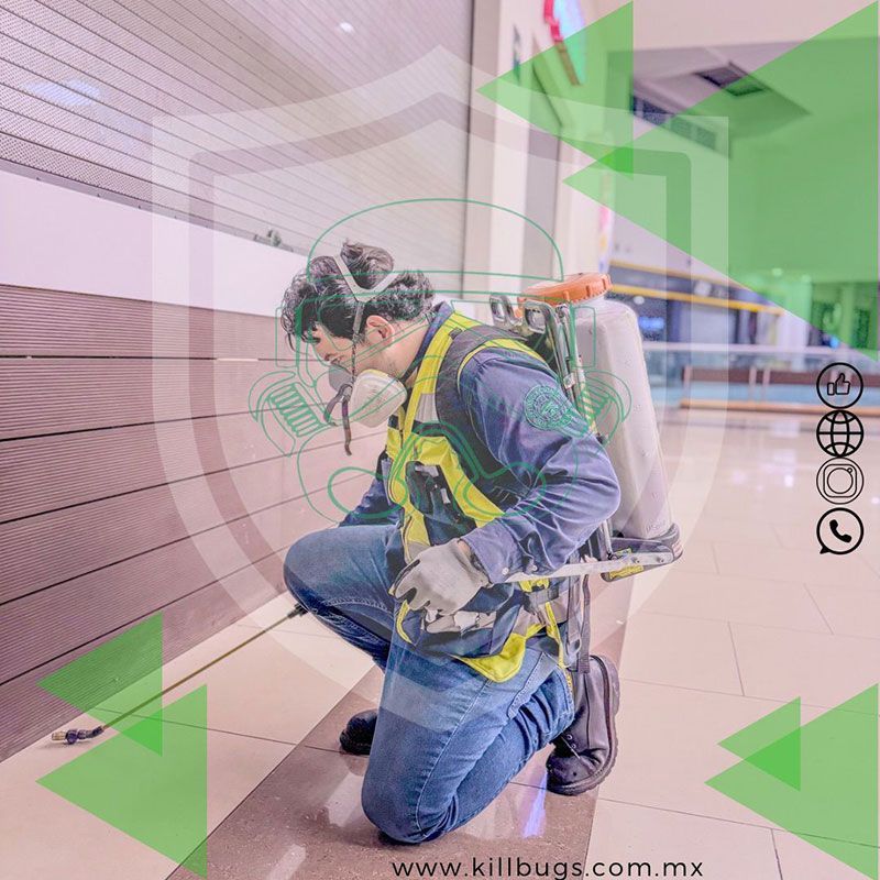 FUMIGACIONES DE IRAPUATO