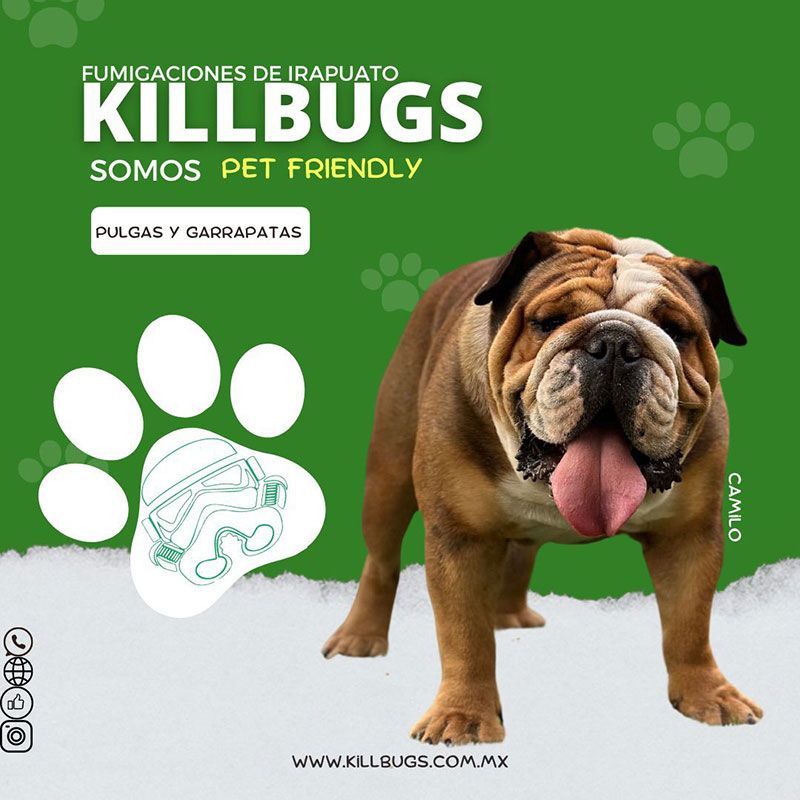 FUMIGACIONES DE IRAPUATO