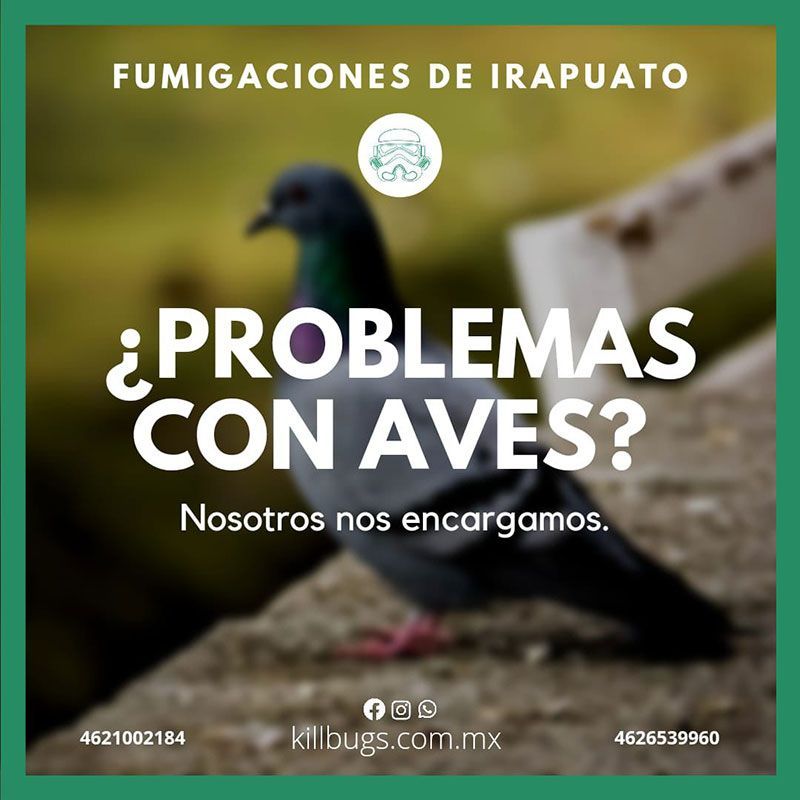 FUMIGACIONES DE IRAPUATO