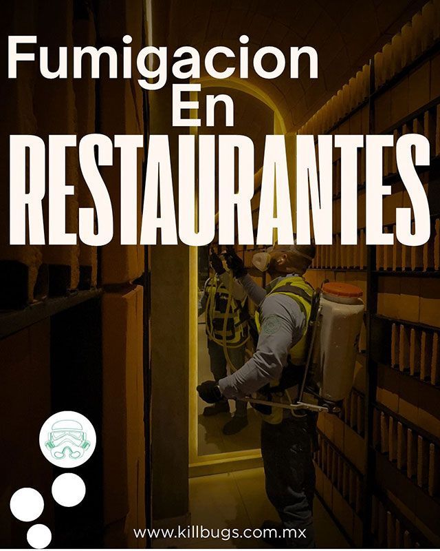 FUMIGACIONES DE IRAPUATO