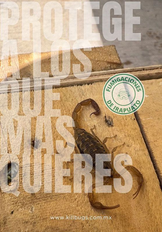 FUMIGACIONES DE IRAPUATO