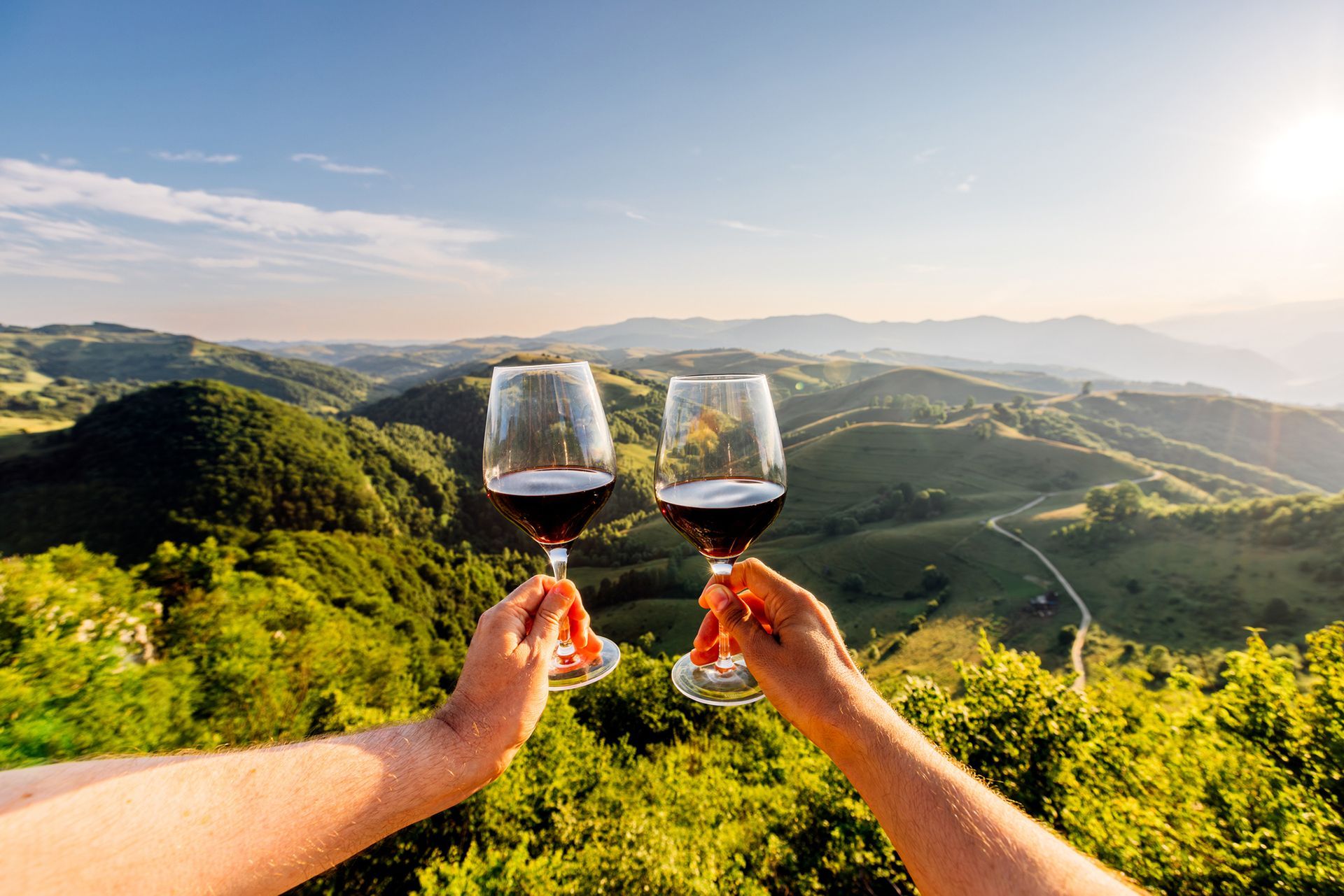Due mani che sorreggono bicchieri di vino rosso, brindando a una vista panoramica sulle montagne.