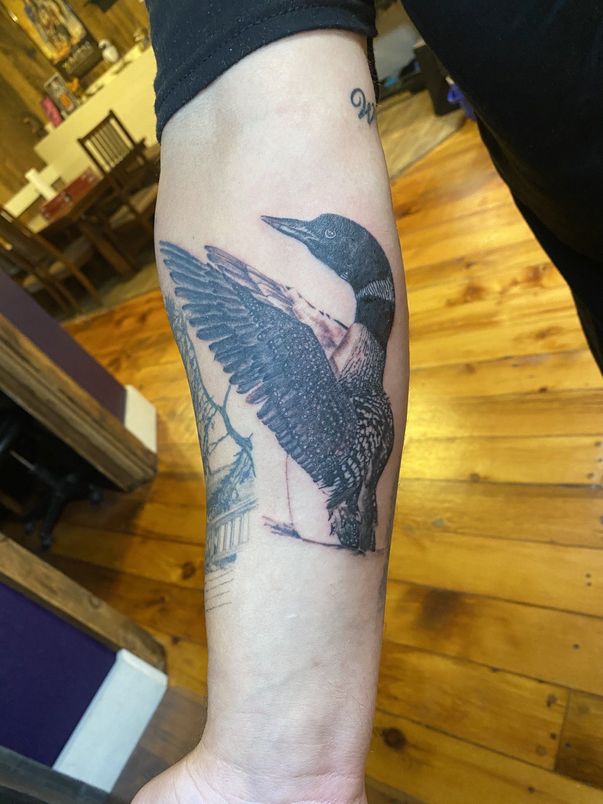 Black and white tattoo of a loon bird with outstretched wings on a forearm. Wooden background.