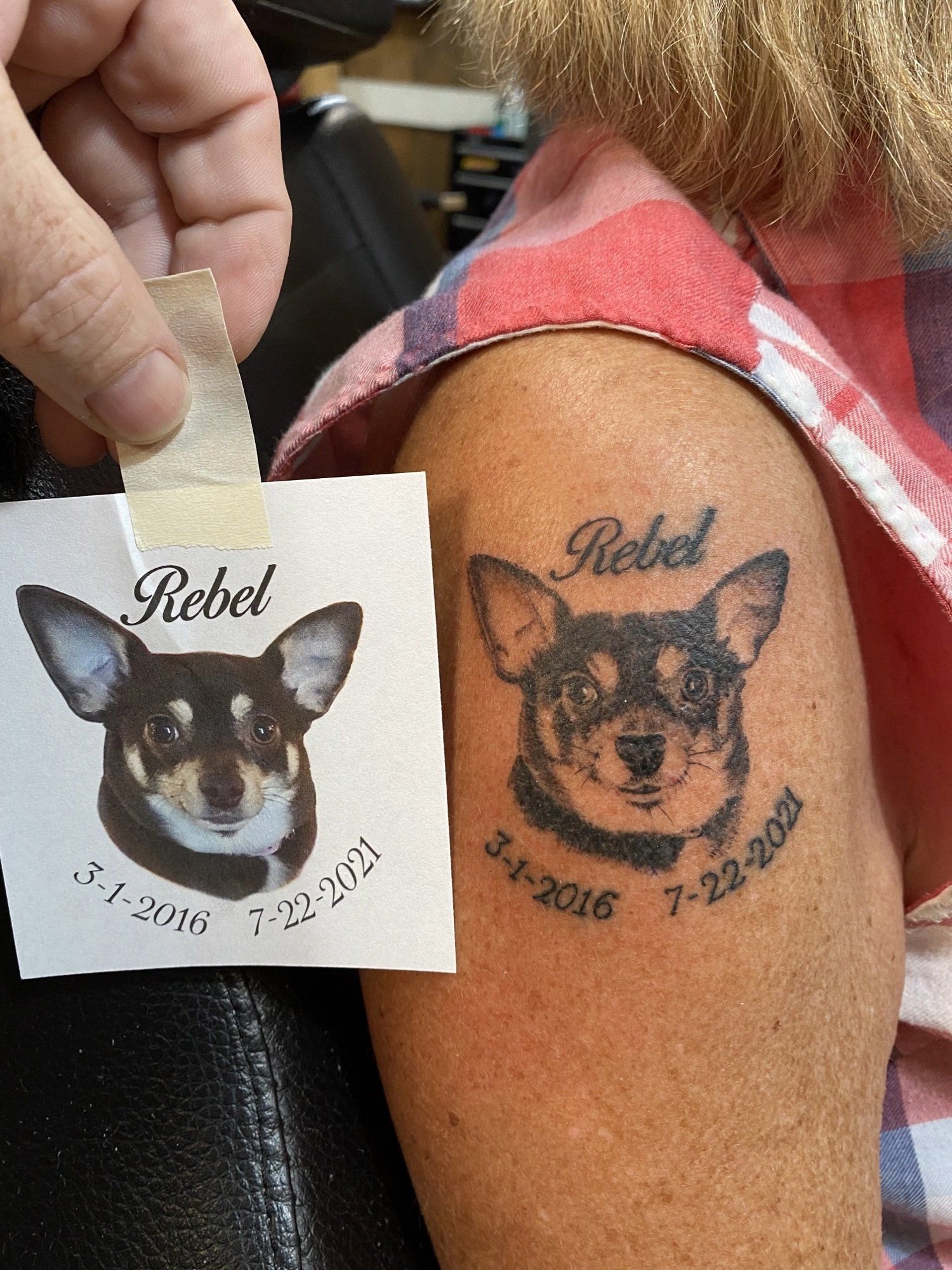 A person's arm with a new tattoo of a dog's face next to the stencil used. The tattoo is black ink, with a name and dates.
