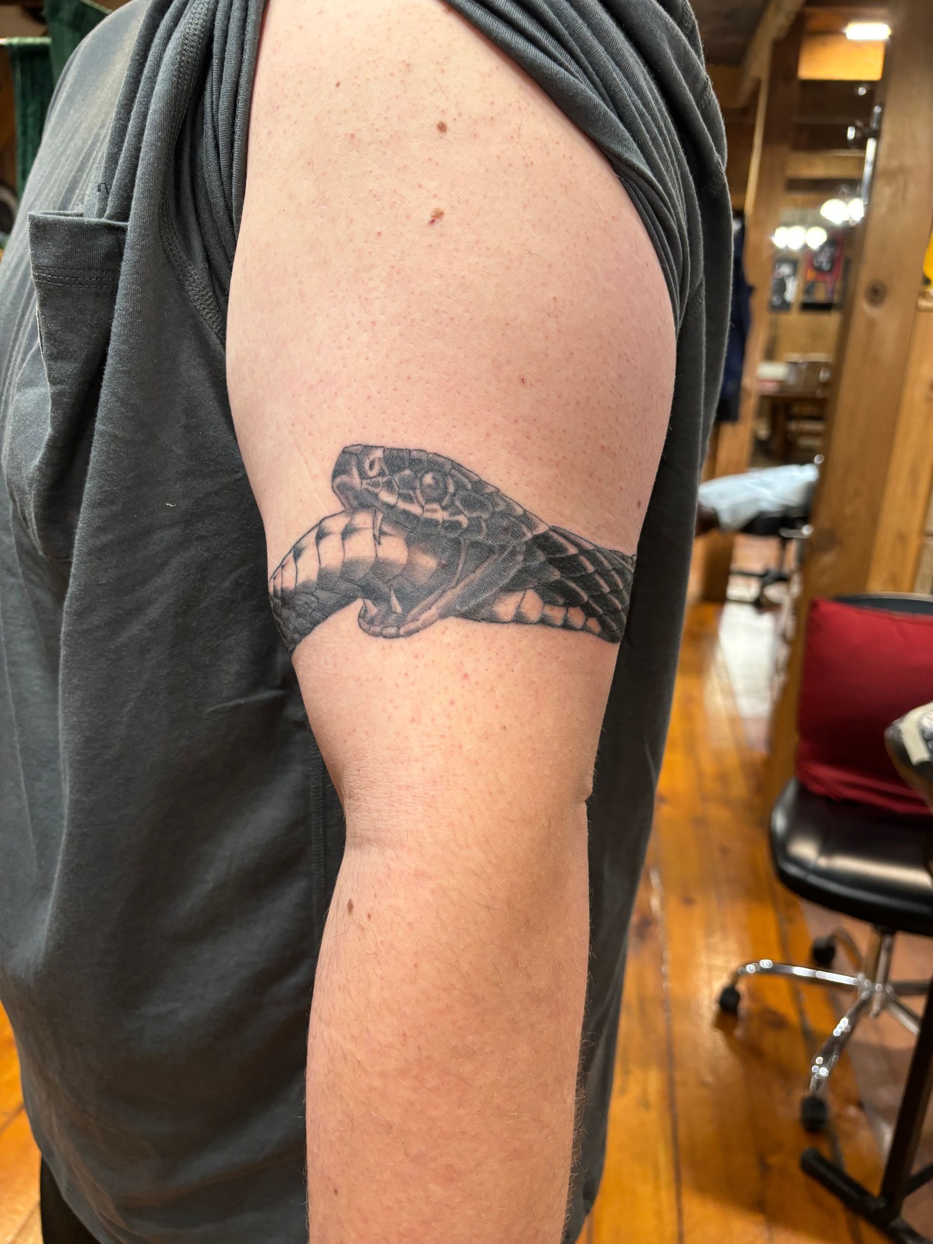 Person's arm with a tattoo of a snake coiled around the bicep.