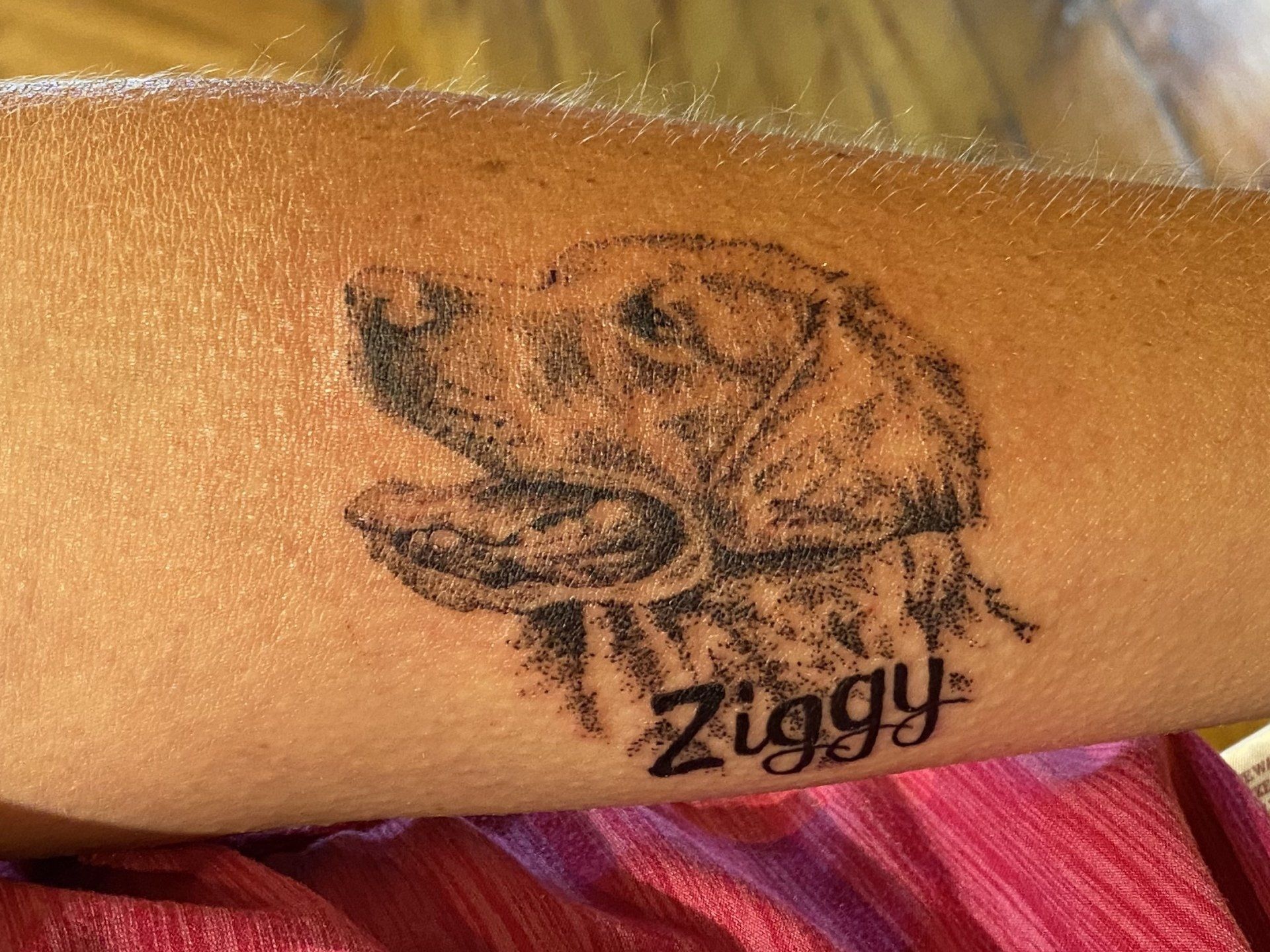 Tattoo of a dog's head, labeled 