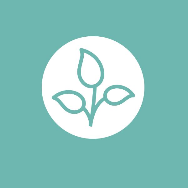 Vitaliteits-ingrediënten Het Vitale Kantoor - Biophilic Design