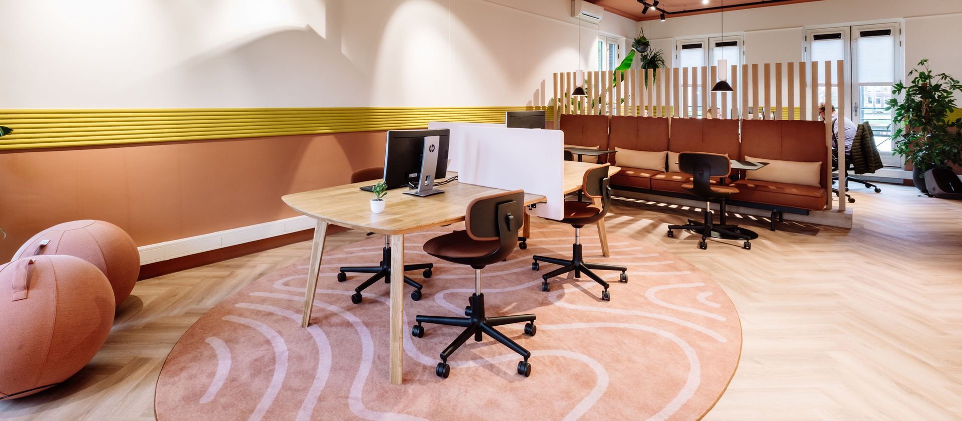 Bright modern office with desks, swivel chairs, monitors, and a large curved rug by tall windows