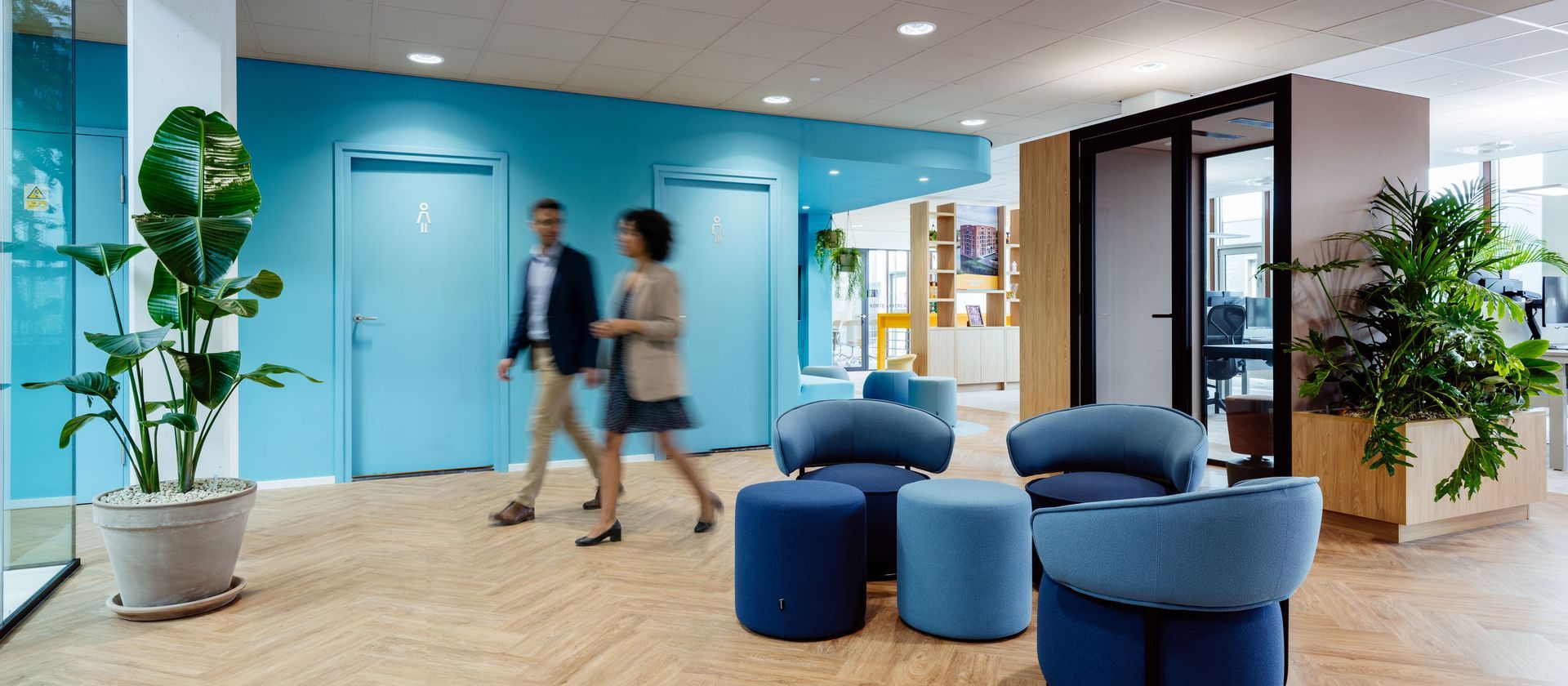 Bright office lounge with carpeted seating area, shelves, potted tree, and a person walking through the space.