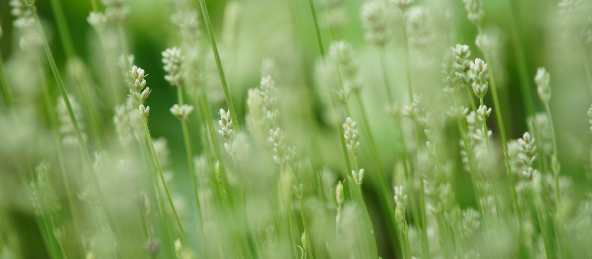 Kantoorinrichting die medewerkers energieker maakt