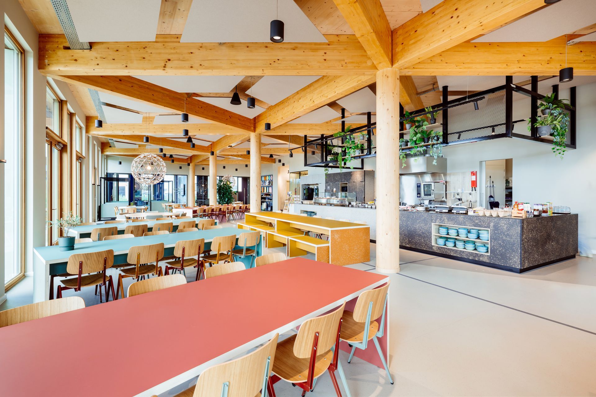 Interieur ontwerp kantoor Bever, natuur, binnen, Biophilic design