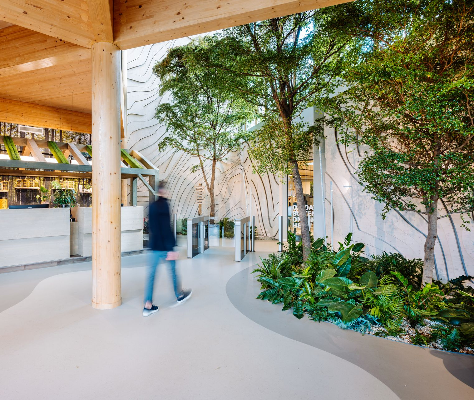 Entree Bever, interieurontwerp Kantoor, Biophilic design