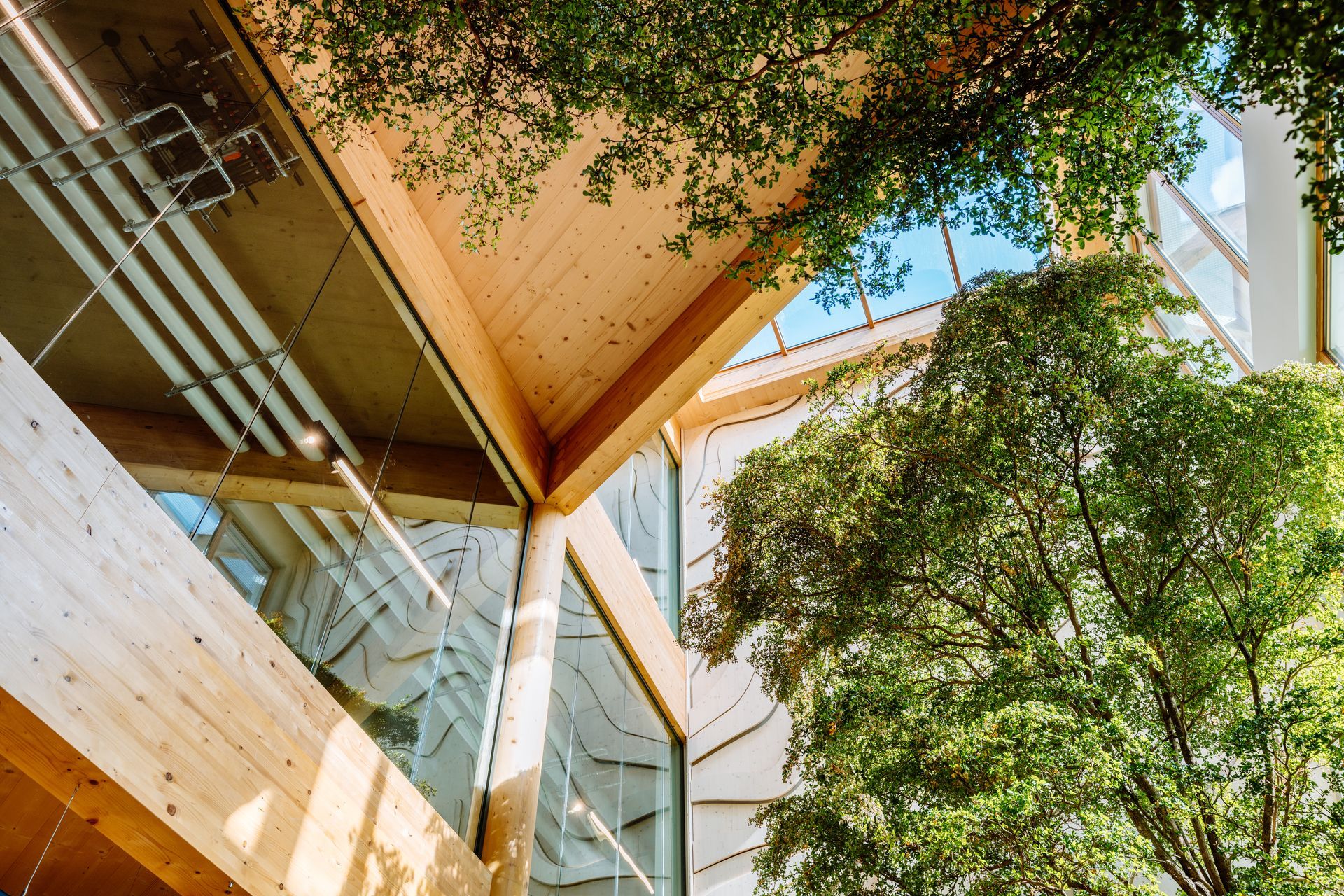 Interieur architect kantoor Bever,
interieurbeplanting, spectaculair, Biophilic design