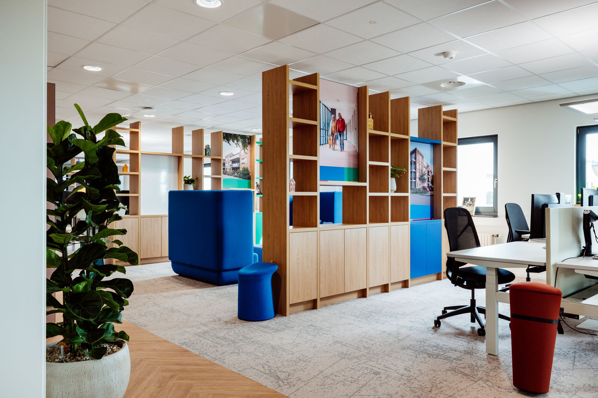 Licht en modern kantoor met houten schappen, bureaus, stoelen en een grote potplant.
