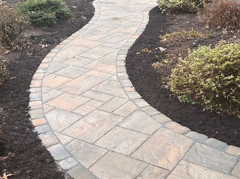 A curved walkway surrounded by plants and bushes in a garden.