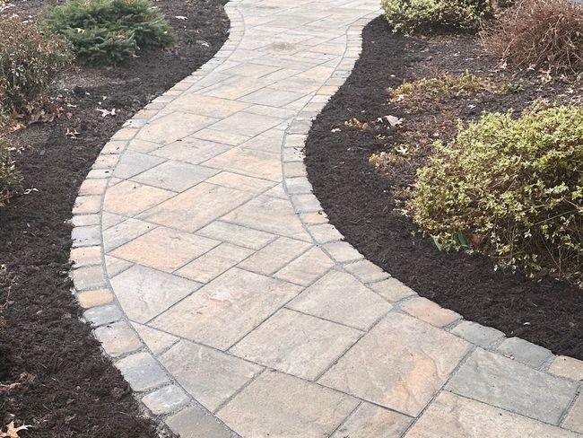 A curved walkway surrounded by plants and bushes in a garden.