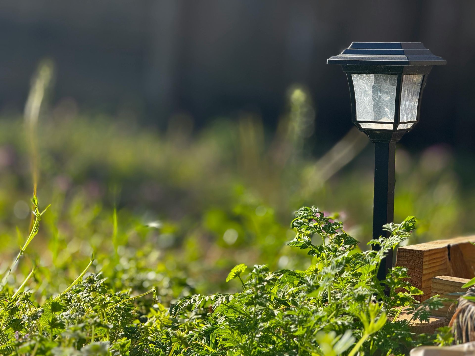 A solar powered lamp is sitting in the grass in a garden.