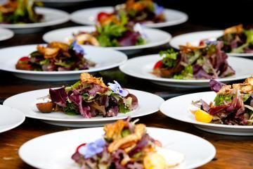 Plated gourmet salads arranged on a wooden table, with colorful greens and toppings
