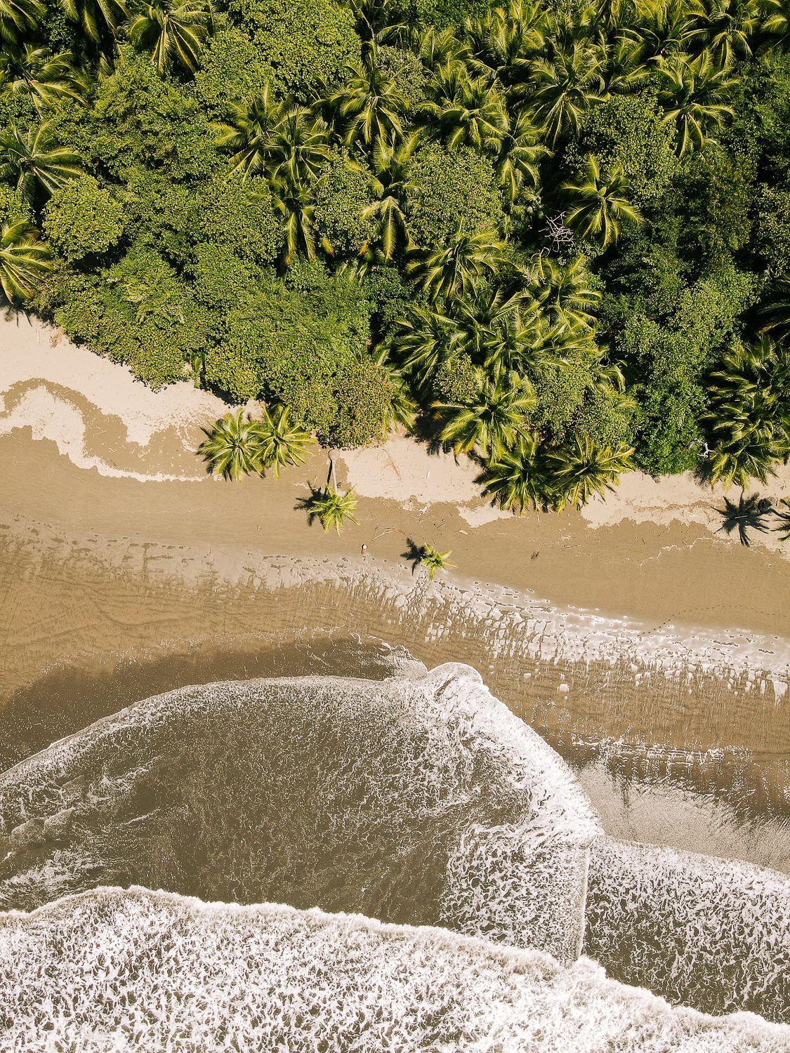 An aerial view of a tropical sandy beach meeting a lush green forest, with gentle waves washing onto the shore.