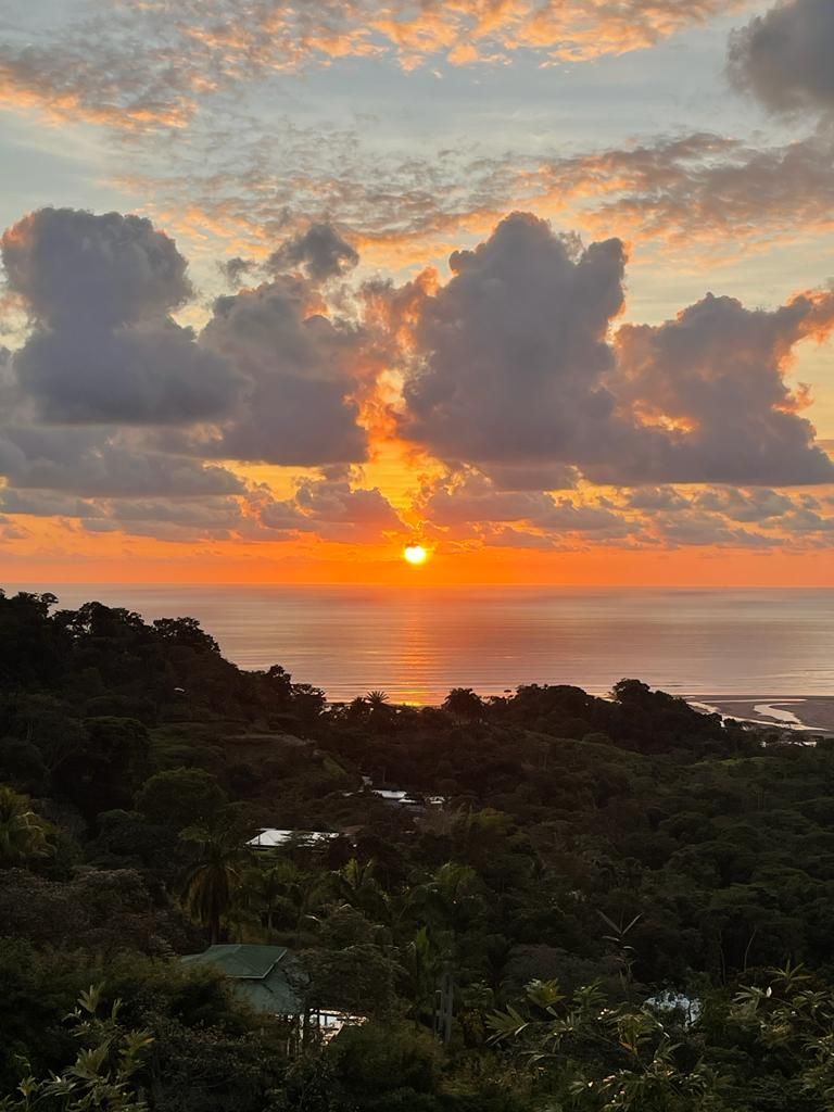 Sunset over ocean, with orange and yellow hues in sky; dark green trees in foreground.