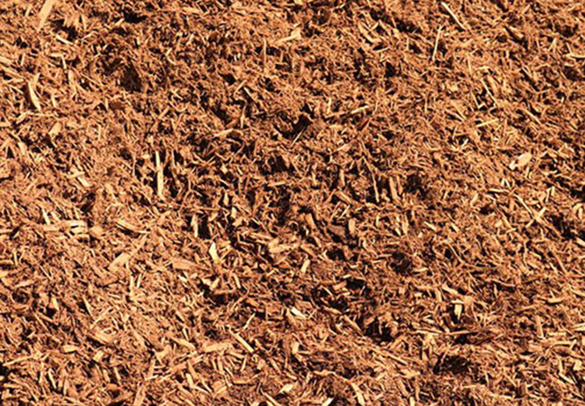 Cypress Blended Fine