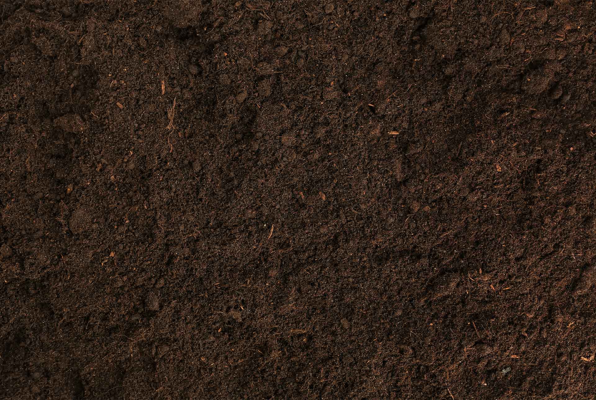Organic Garden Soil