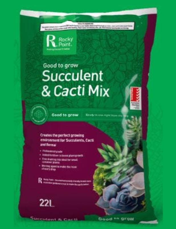 Succulent & Cacti Mix