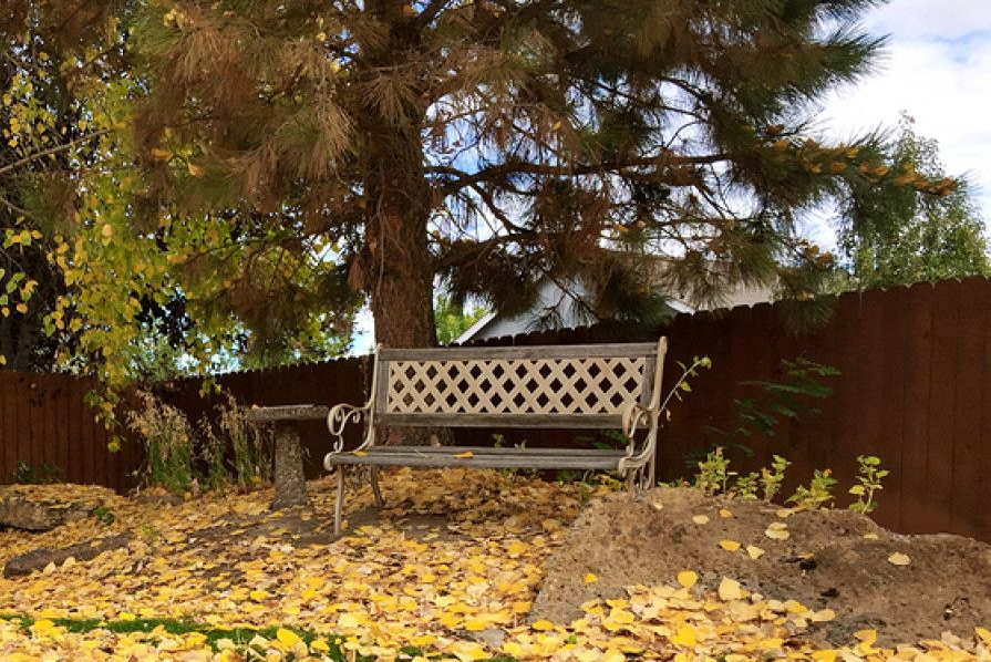 A metal bench sits on a leaf-covered ground beneath a tree in a backyard with a brown wooden fence.