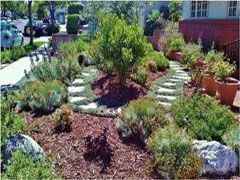 A garden with lots of plants and rocks in front of a house.