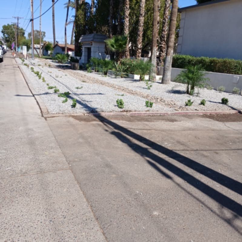 landscaping project with gravel and plants