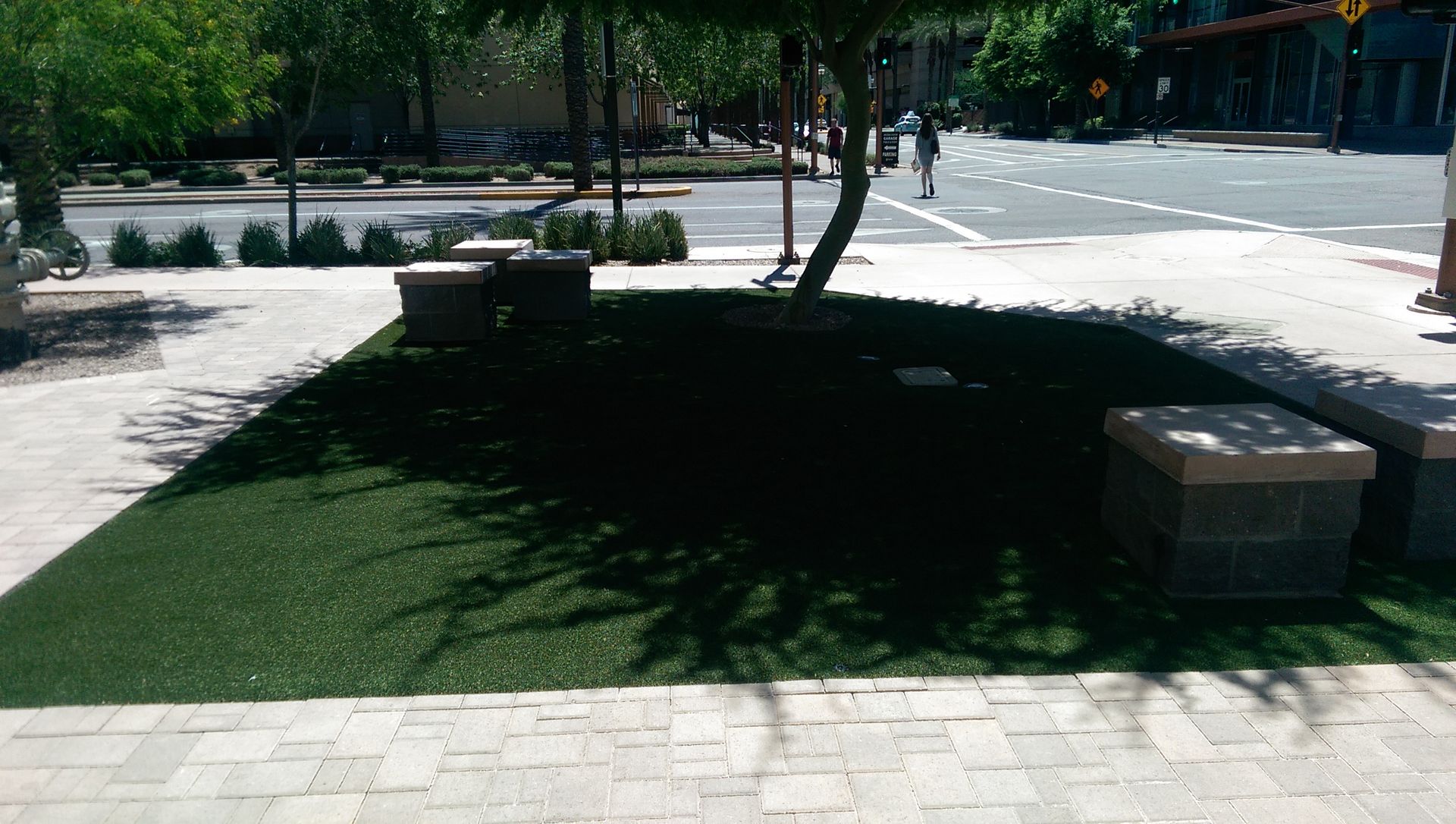 A park with a tree in the middle of it