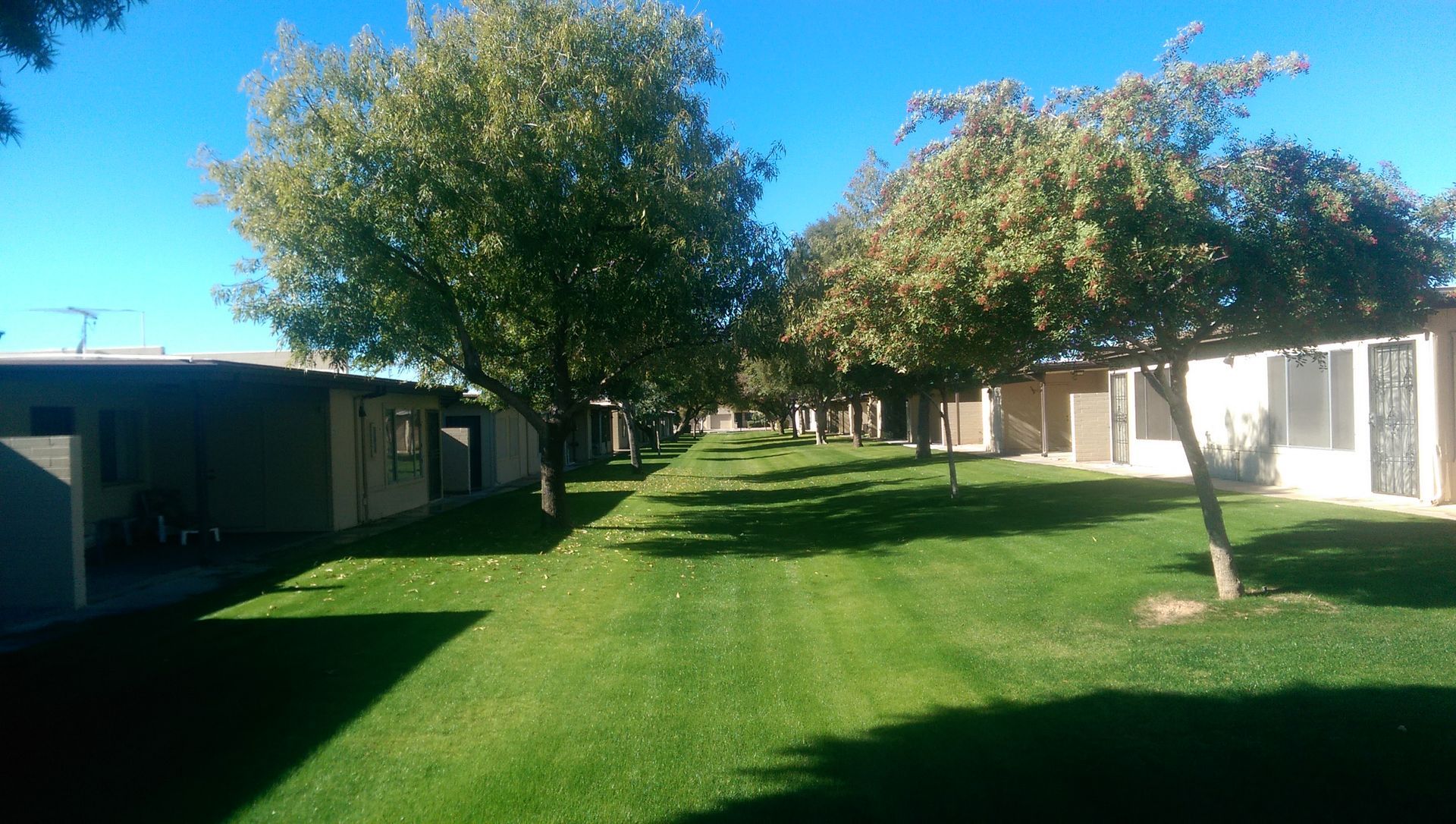 A row of houses sitting next to each other on a lush green lawn.