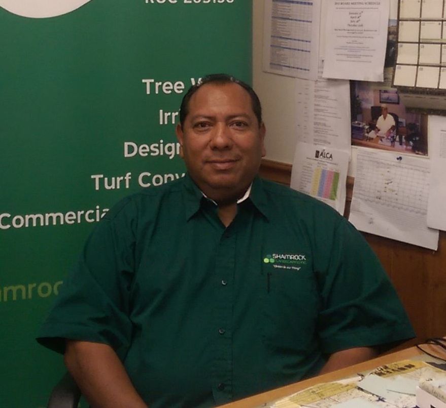 A man in a green shirt is sitting at a desk