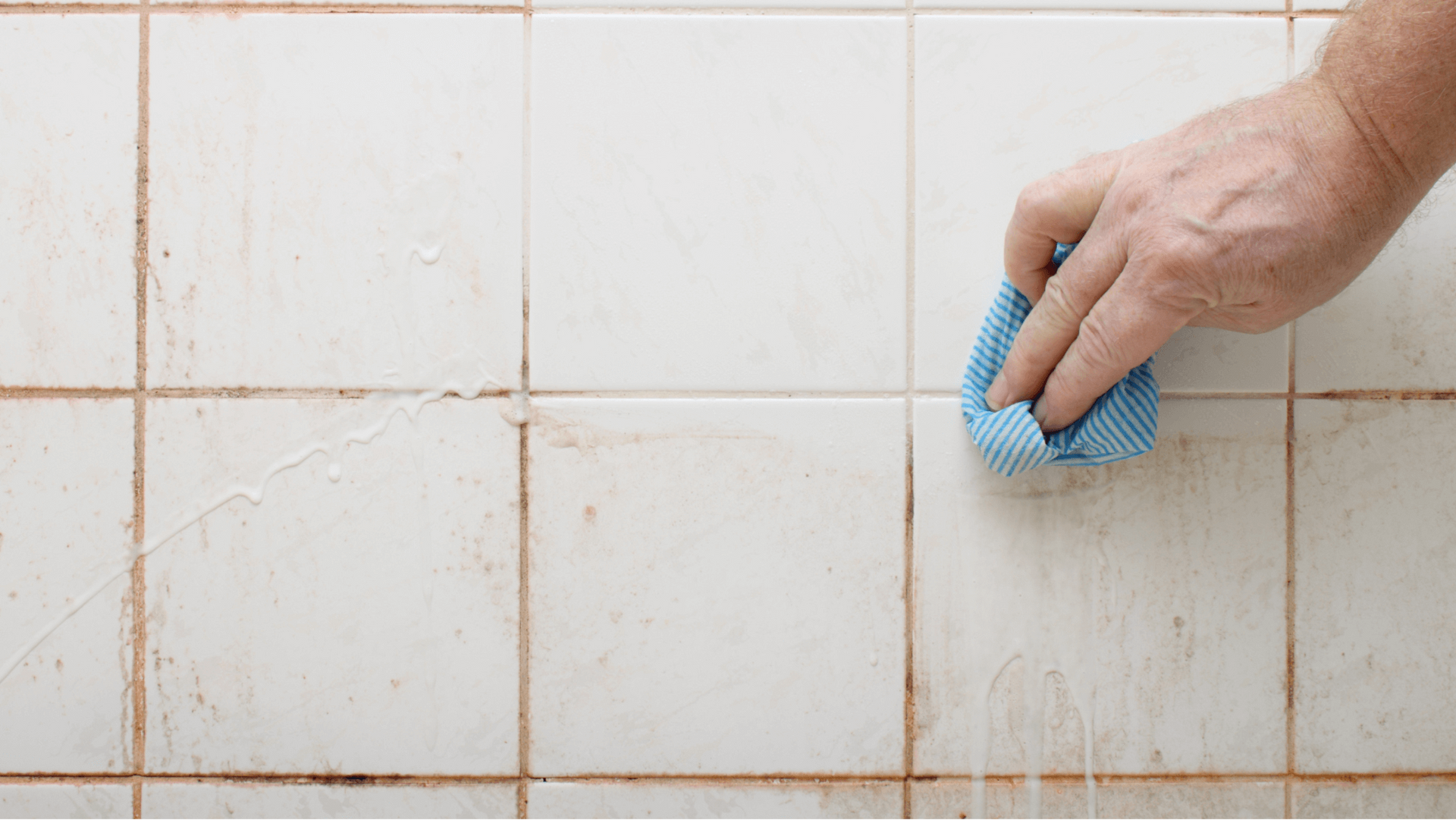 Bathroom Mould: Causes, Prevention & Easy Fixes