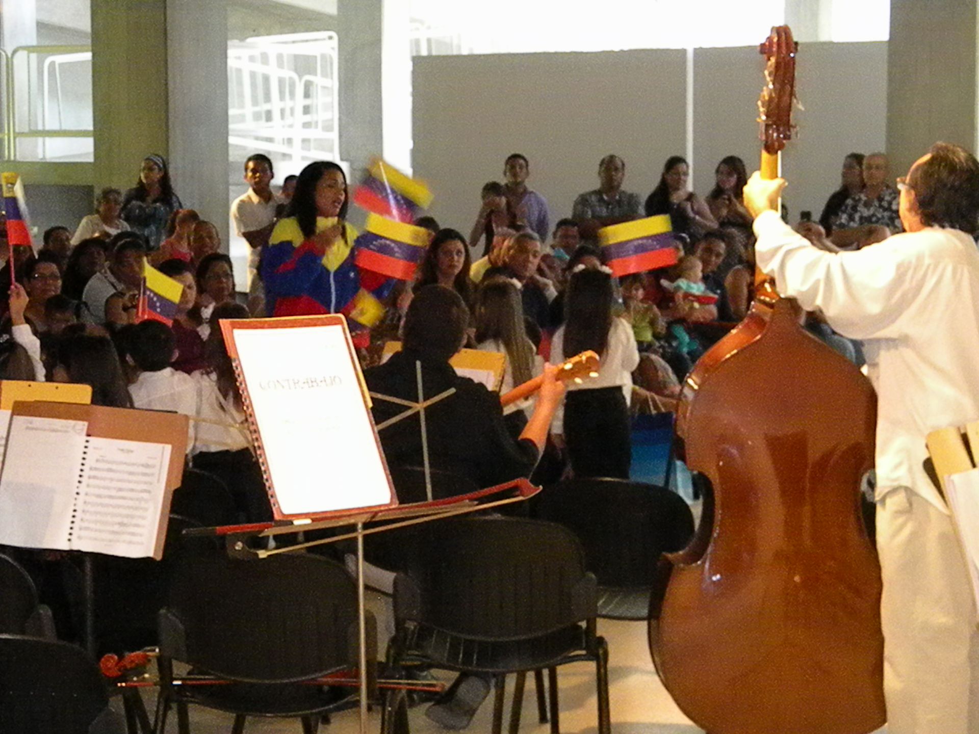 A man playing a double bass in front of a crowd