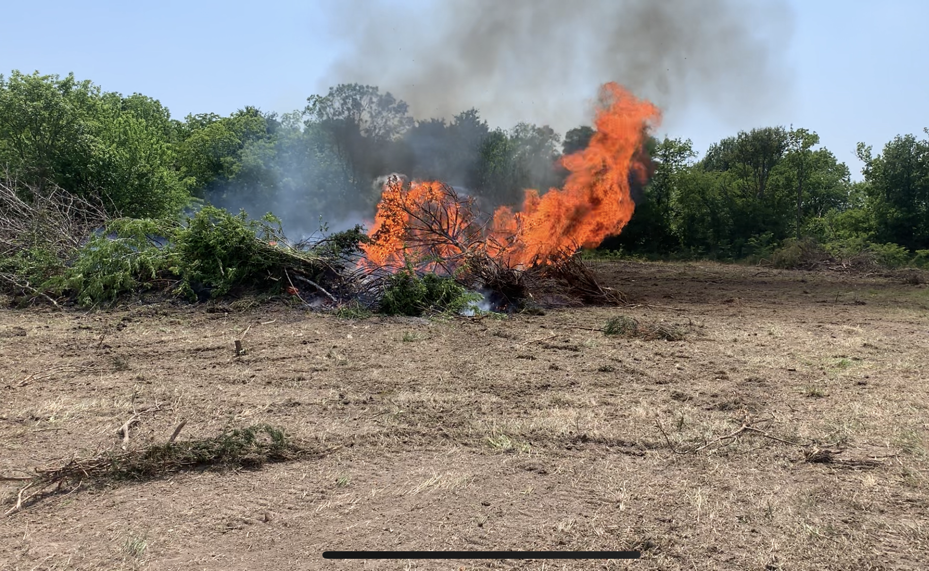 Land excavation, land clearing, brush removal.