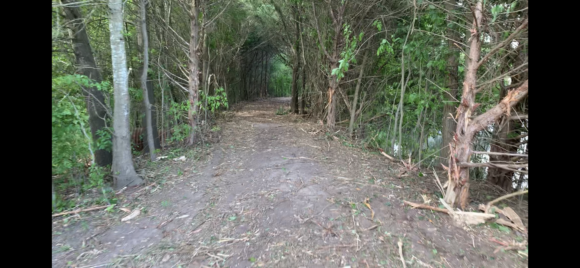 Land clearing, excavation, tree removal.