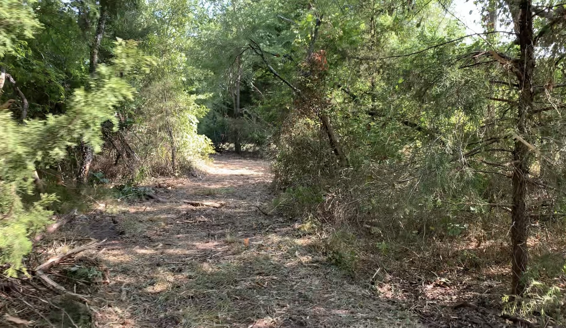 Land clearing, tree removal.