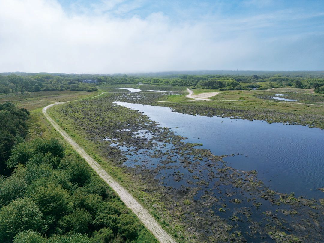 The Nantucket Conservation restores Windswept Cranberry Bog as a wetland.