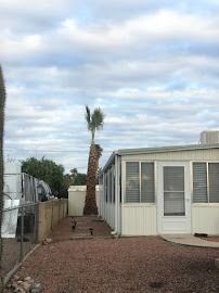 Palm tree next to a white house with a brown gravel yard under a cloudy sky.