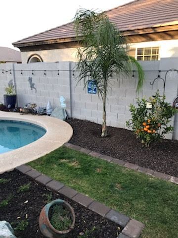 Backyard with pool, palm tree, and orange tree against a block wall with string lights.
